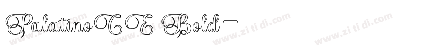 PalatinoCE Bold字体转换